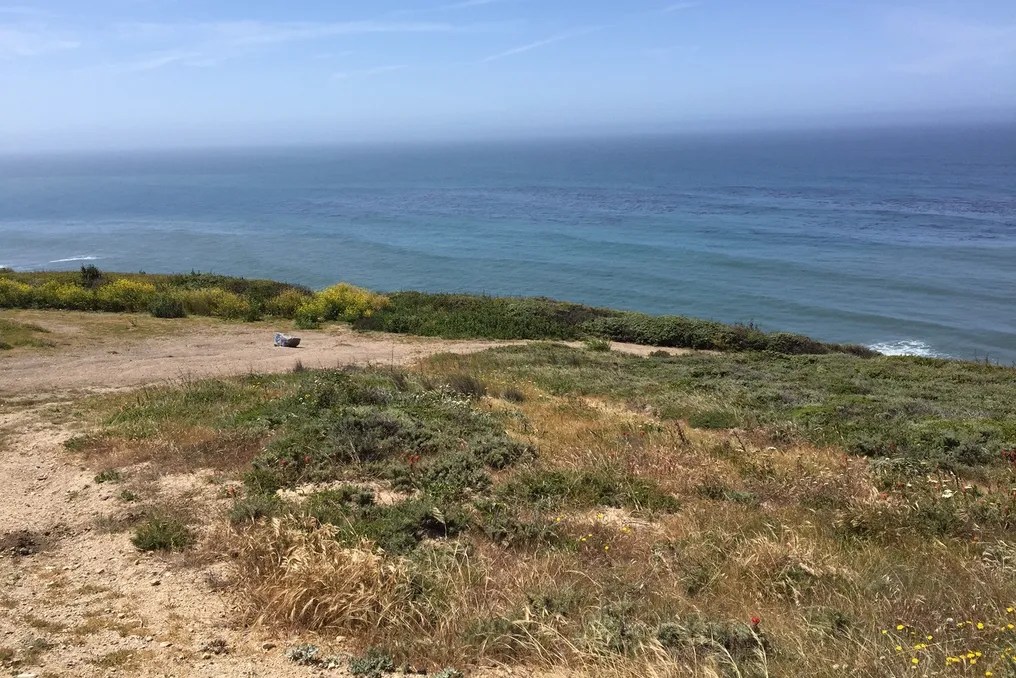 Santa Cruz County Parks #17