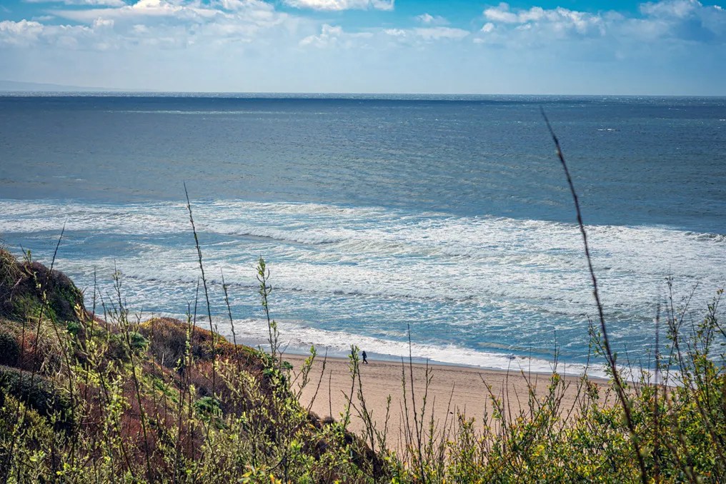 Santa Cruz County Parks #19
