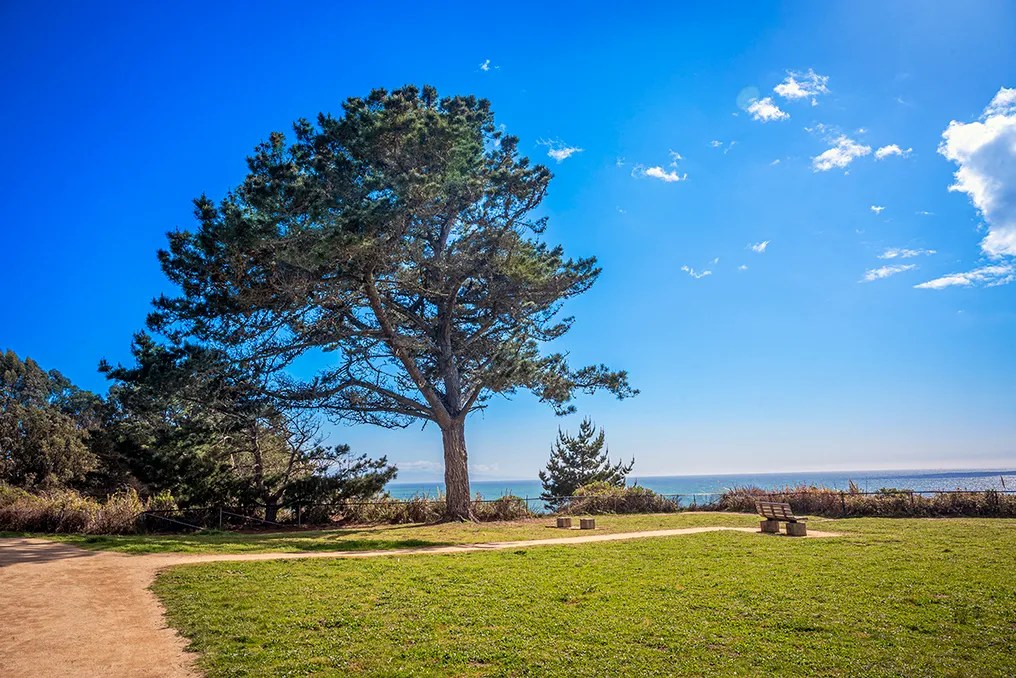 Santa Cruz County Parks #21