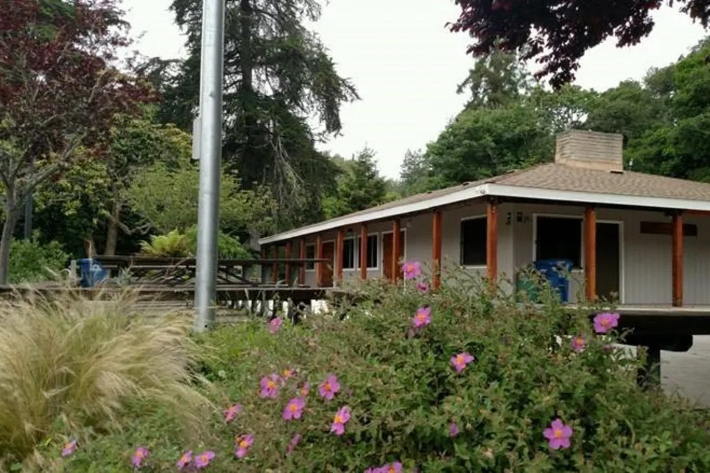 Santa Cruz County Parks #25