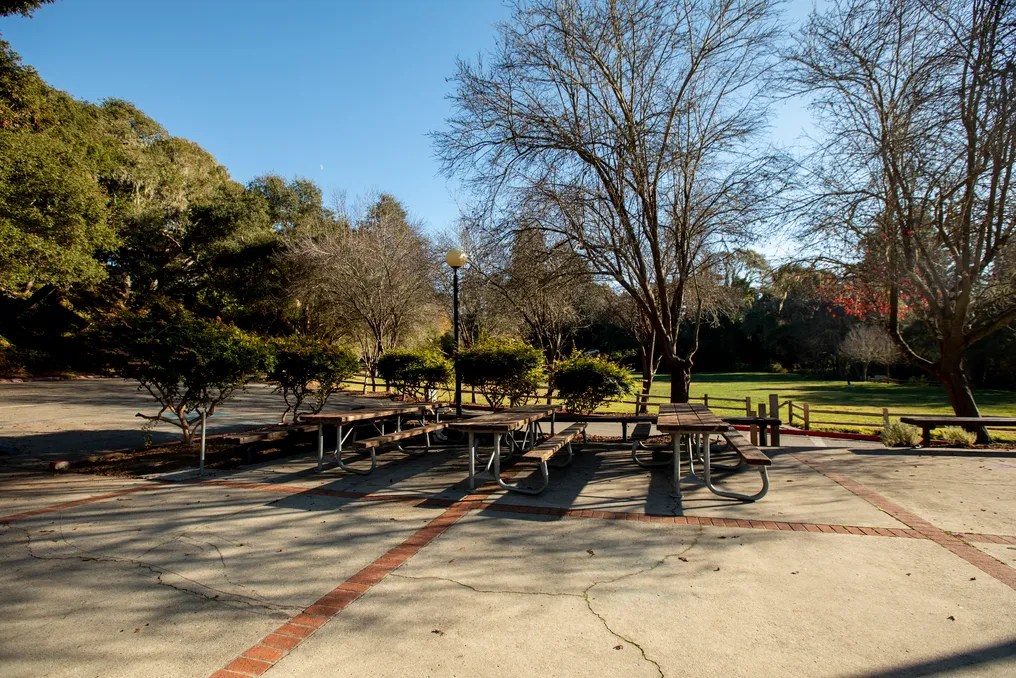 Santa Cruz County Parks #26