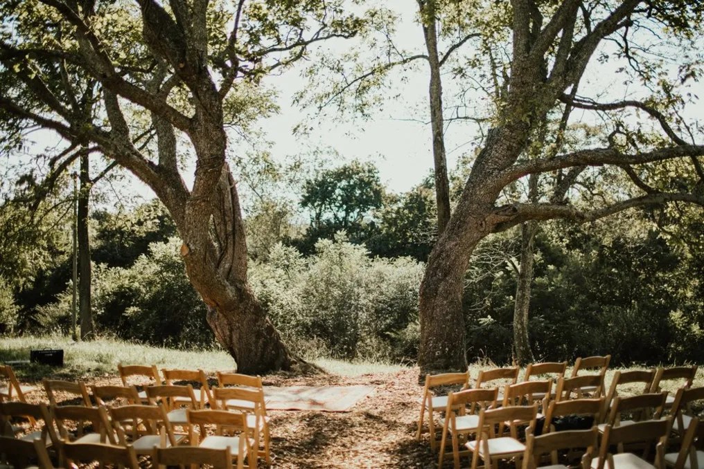 Catalpa Grove Events #6
