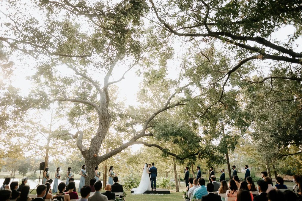 The Orchard at Caney Creek #16