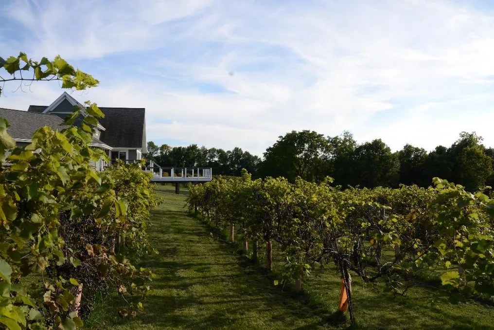 Twin Bluff Farms #2
