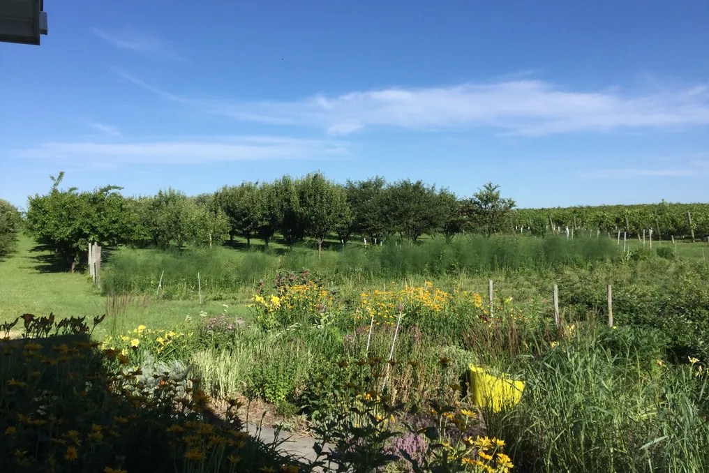 Twin Bluff Farms #15