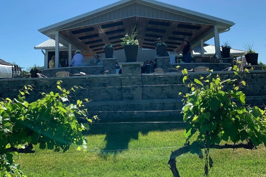 Twin Bluff Farms #21