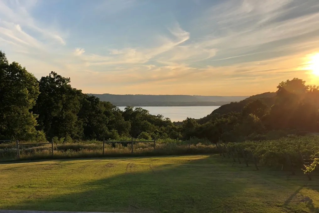 Twin Bluff Farms #29