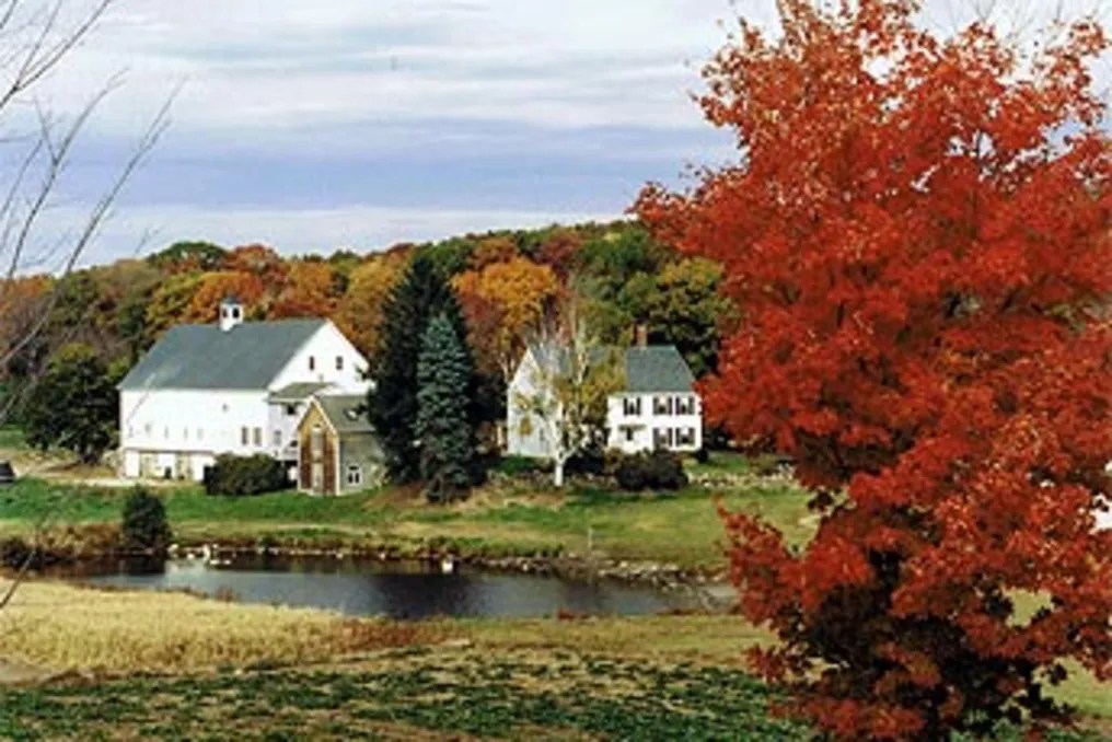 Smolak Farms #13