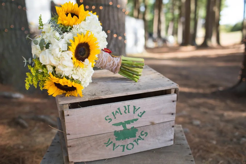 Smolak Farms #19