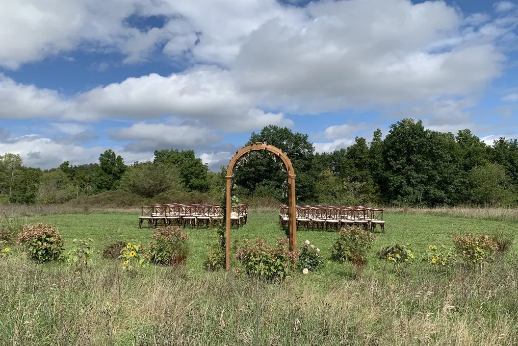 Hydrangea Farms #12