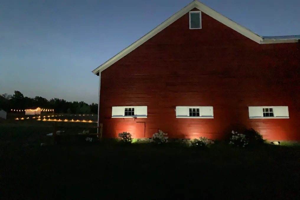 Hydrangea Farms #16
