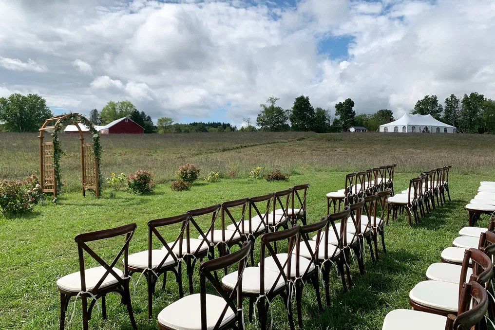 Hydrangea Farms #31