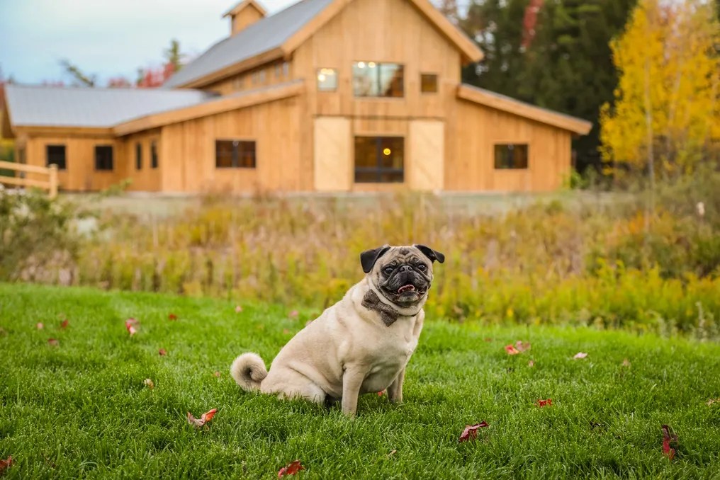 The Barn at Bull Meadow #13