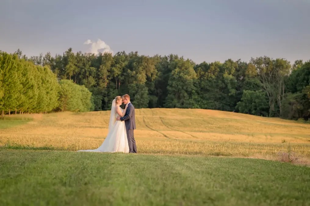 White Clover Farm #23