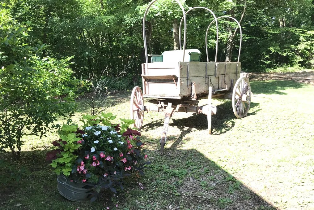 Rustic Oaks Weddings and Events Venue #4