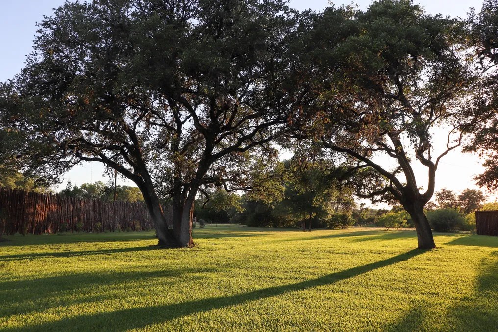 Bear Creek Retreat #14