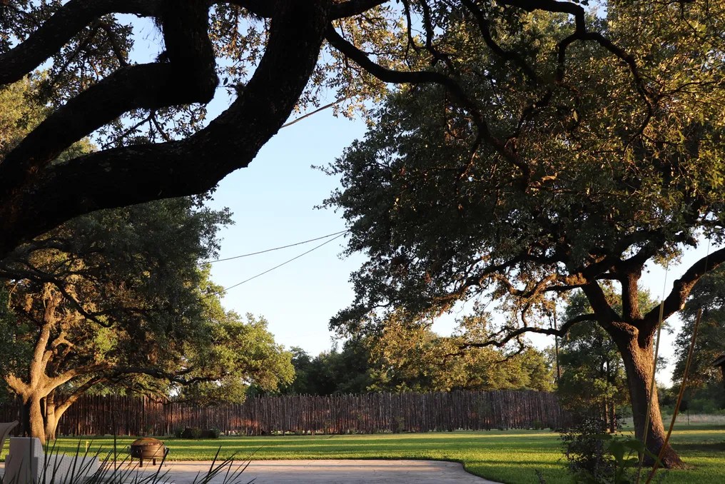 Bear Creek Retreat #15