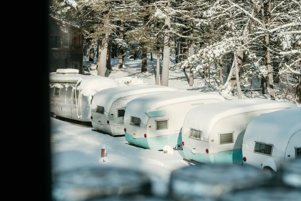 Camp Elsewhere #5