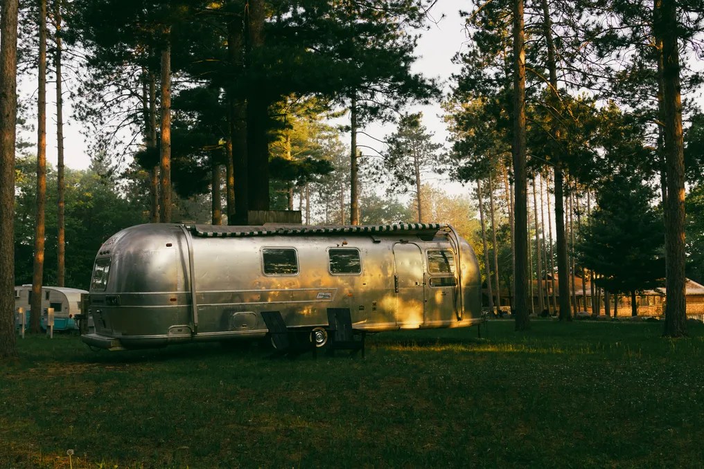 Camp Elsewhere #8