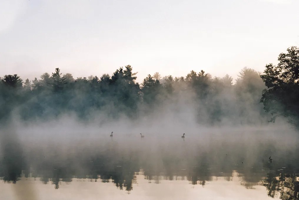 Camp Elsewhere #15