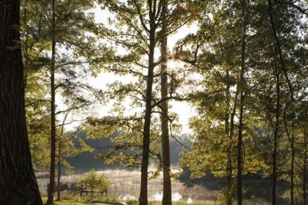 Carmel Lake #14