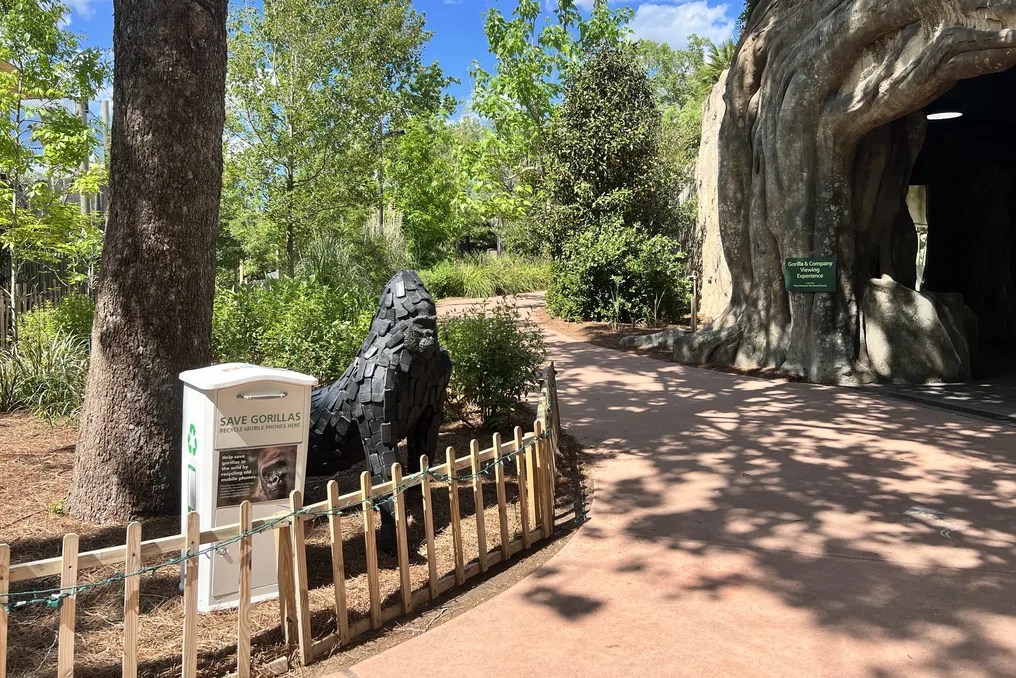 Jacksonville Zoo and Gardens #10