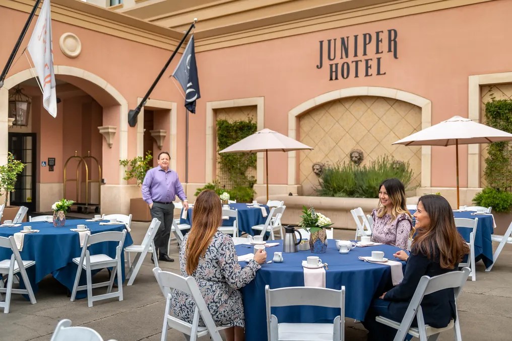 Juniper Cupertino, Curio Collection by Hilton #16