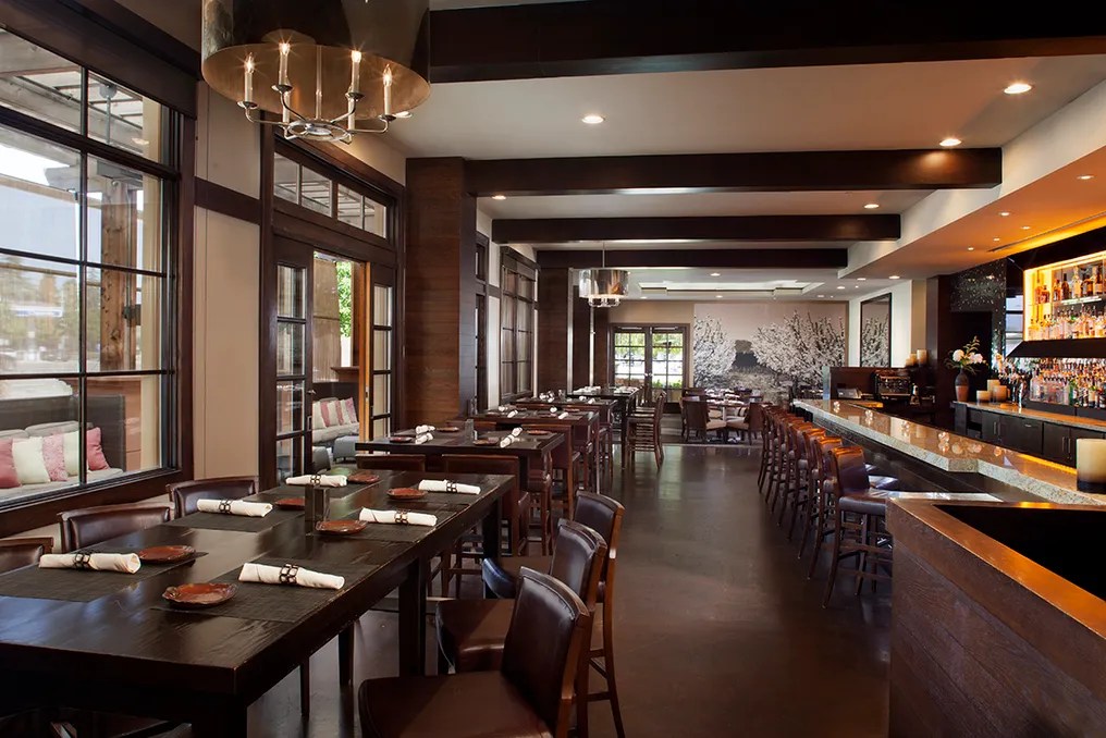 Juniper Cupertino, Curio Collection by Hilton #23
