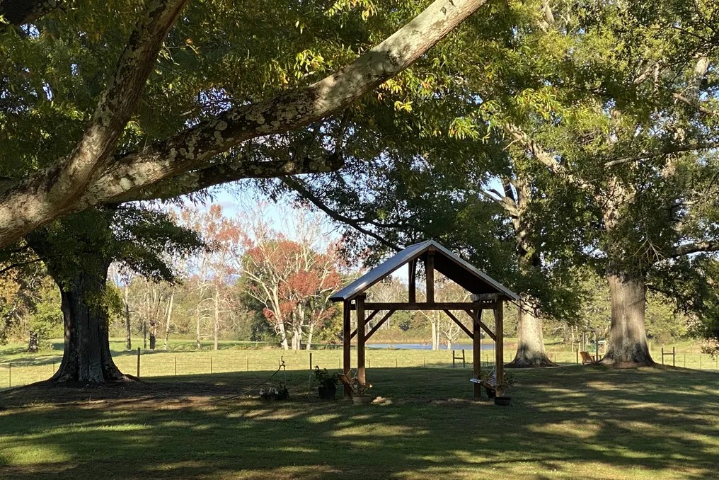 Twelve Oaks Pond #31