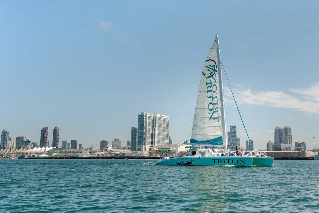Triton Charters #31
