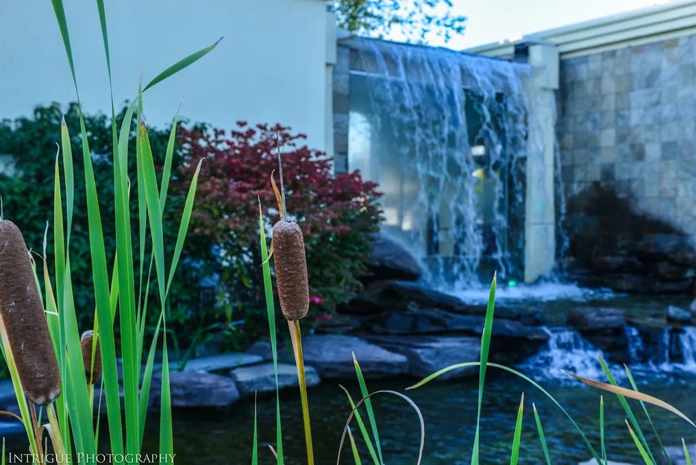 The Waterfall Catering and Special Events #5