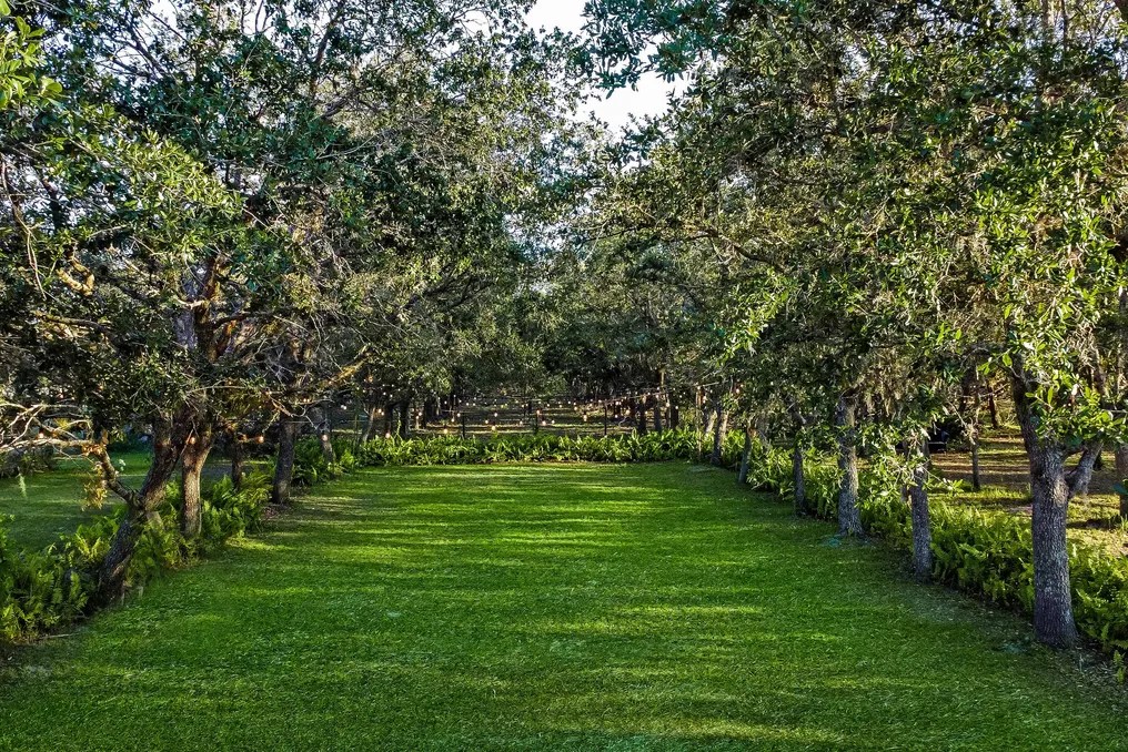 A Line Ranch #8