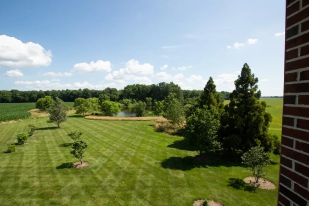 King Cole Farm #31