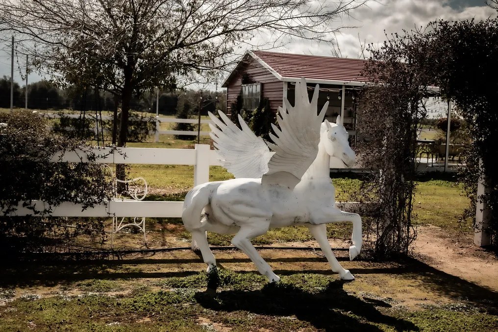 Andalin Ranch #1