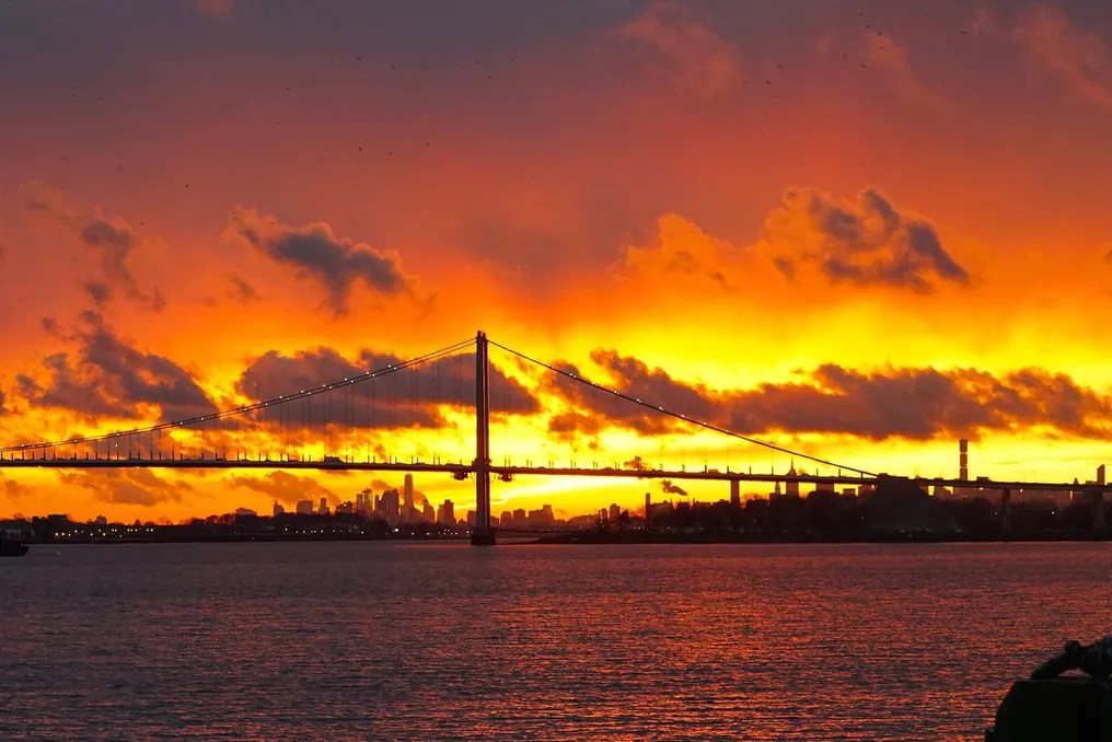 Marina del Rey #49