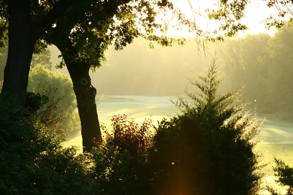 Pebble Creek Golf Club #16
