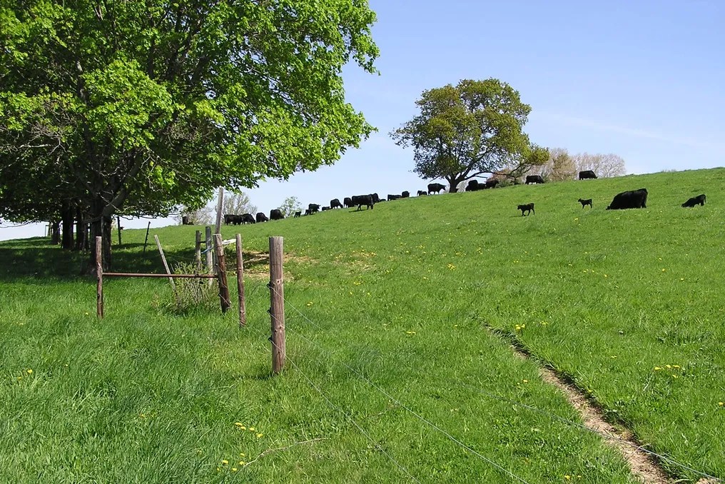 The Barn At Gibbet Hill #30