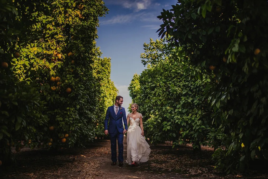Lorimar Vineyards and Winery #19