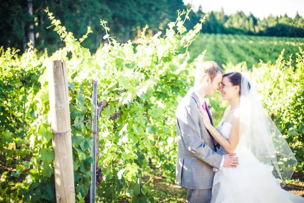 Lachini Vineyards #6