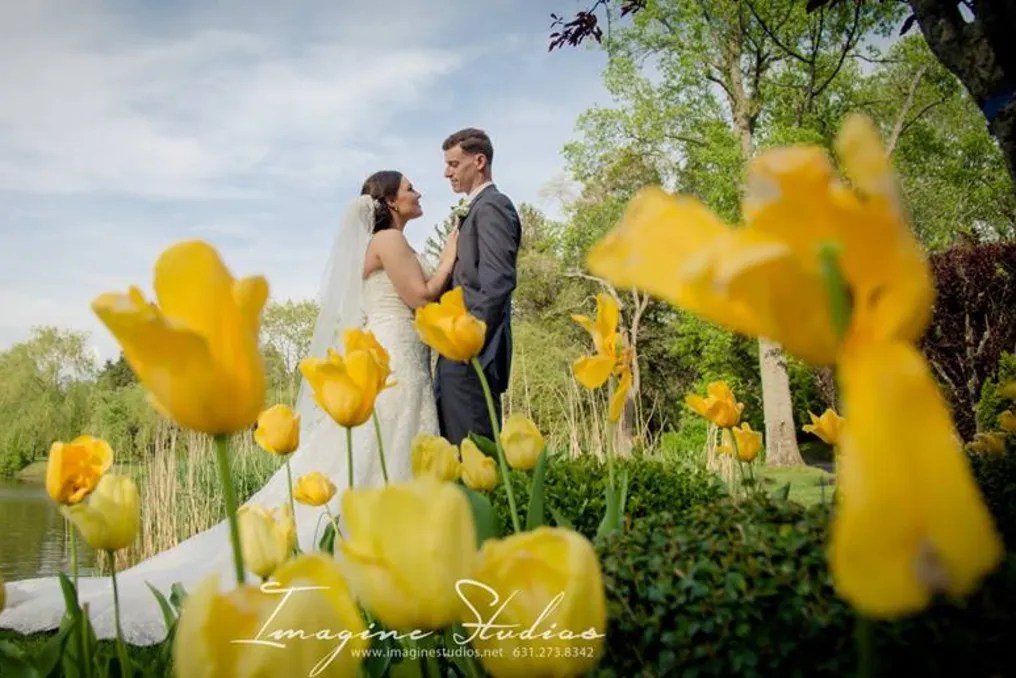 Flowerfield #30