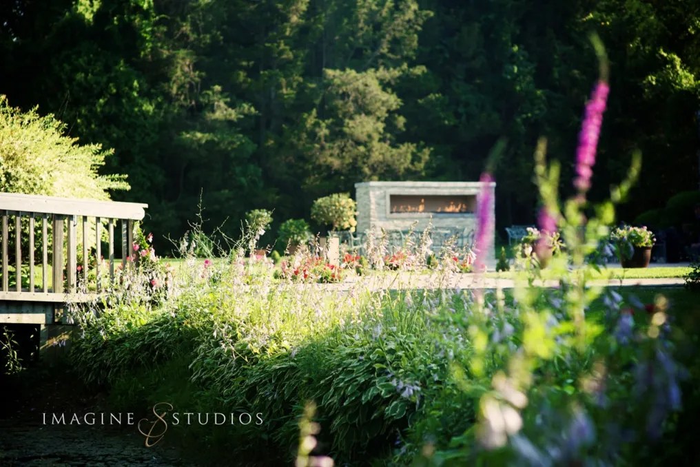 Flowerfield #40