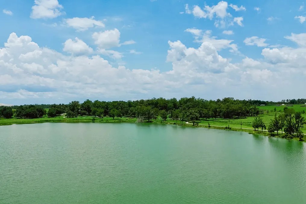 Crews Lake #8