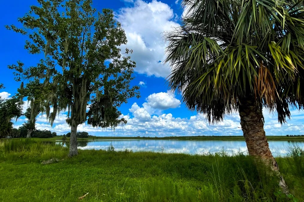 Crews Lake #9