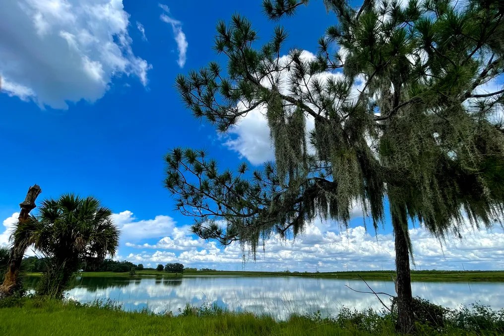 Crews Lake #11