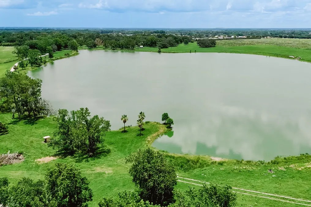 Crews Lake #12
