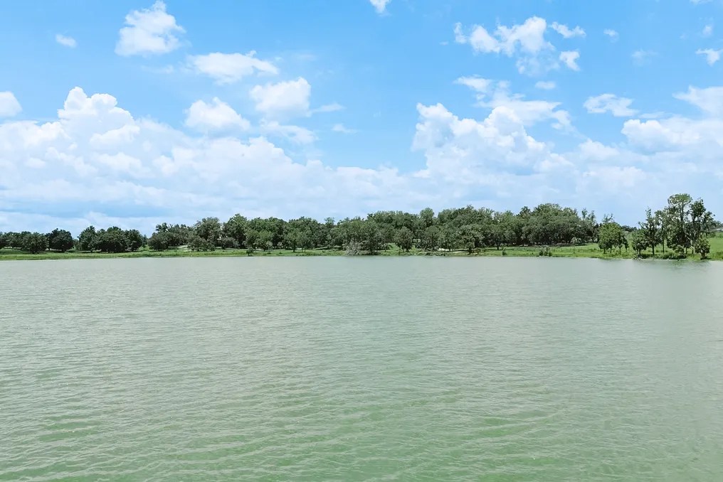 Crews Lake #14