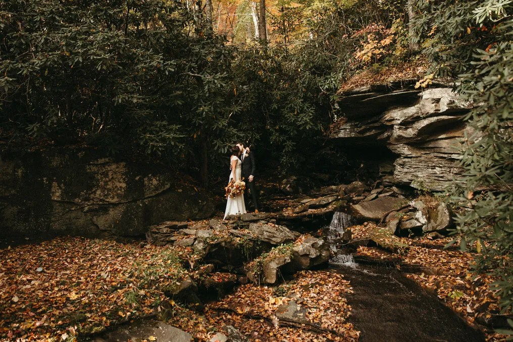 Laurel Falls #173