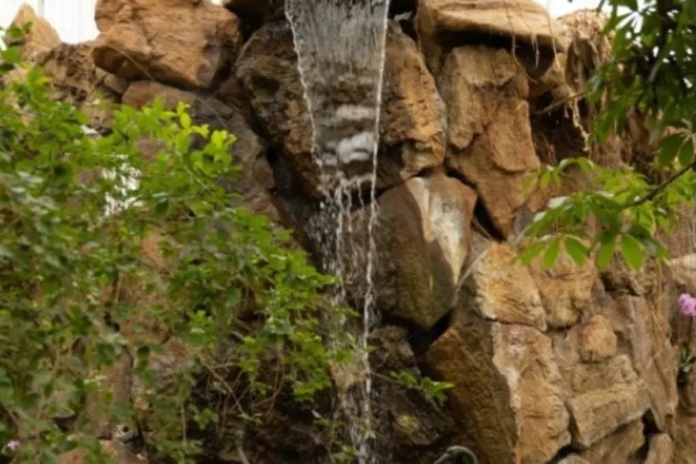 Beaumont Botanical Gardens #2