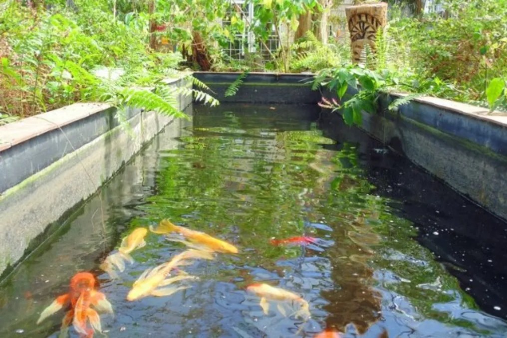 Beaumont Botanical Gardens #4