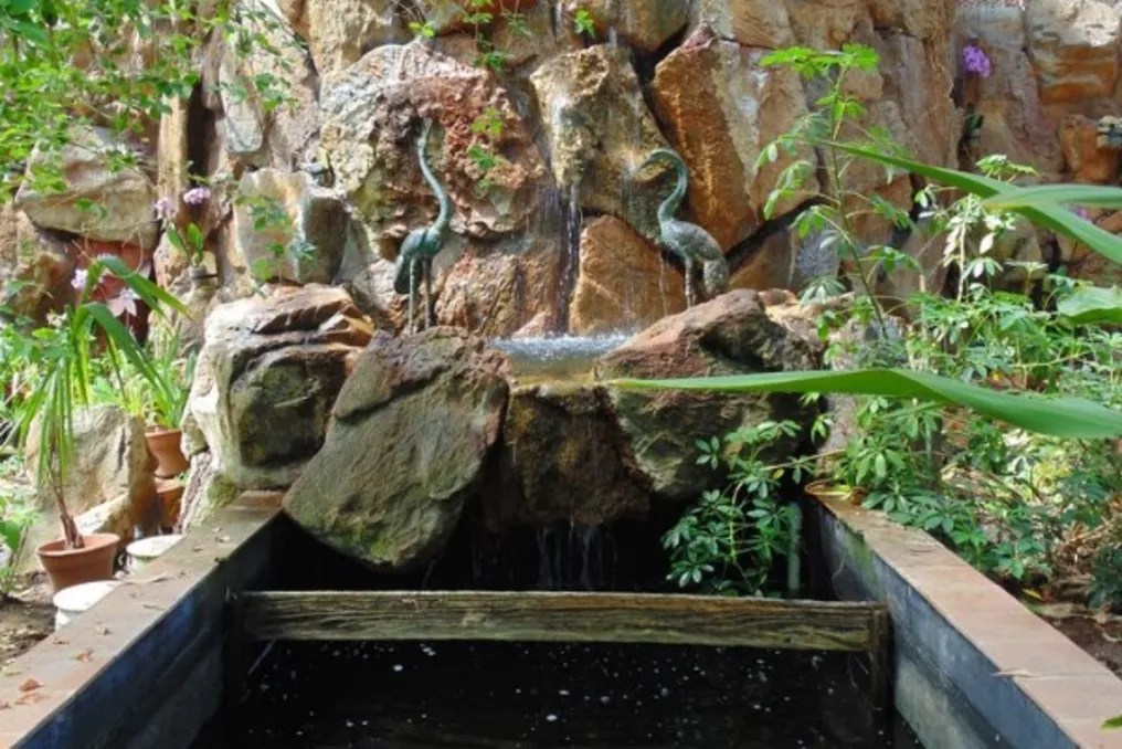 Beaumont Botanical Gardens #6